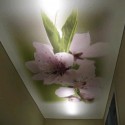 Фотопечать цветов на натяжном потолке