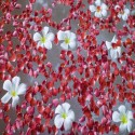 Фотопечать цветов и цветочных композиций на натяжном потолке 